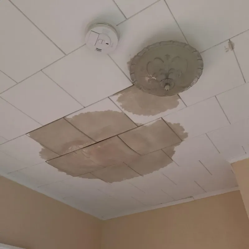 Ceiling Water Damage Repair in Clarksdale, MS