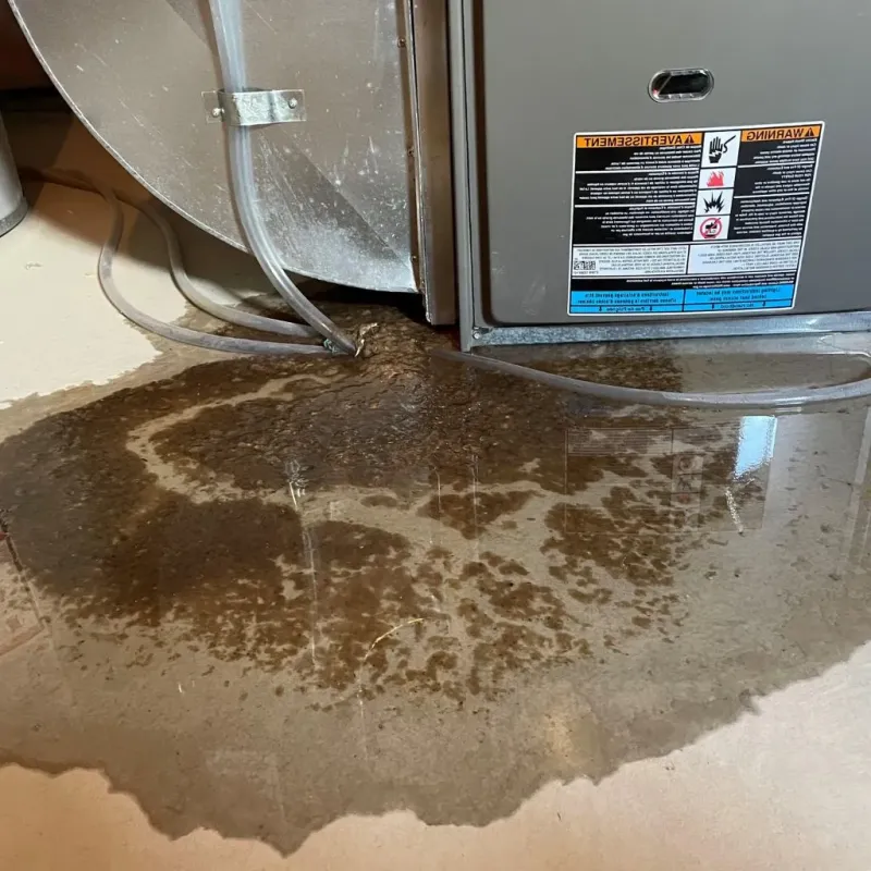 Pipe Burst and Leak Restoration in Clarksdale, MS